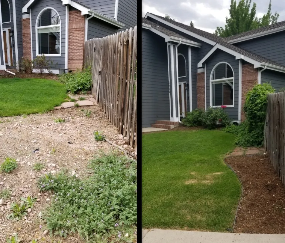 Local landscaping services for residential properties across Fort Collins, CO - Skyline Landscape & Design