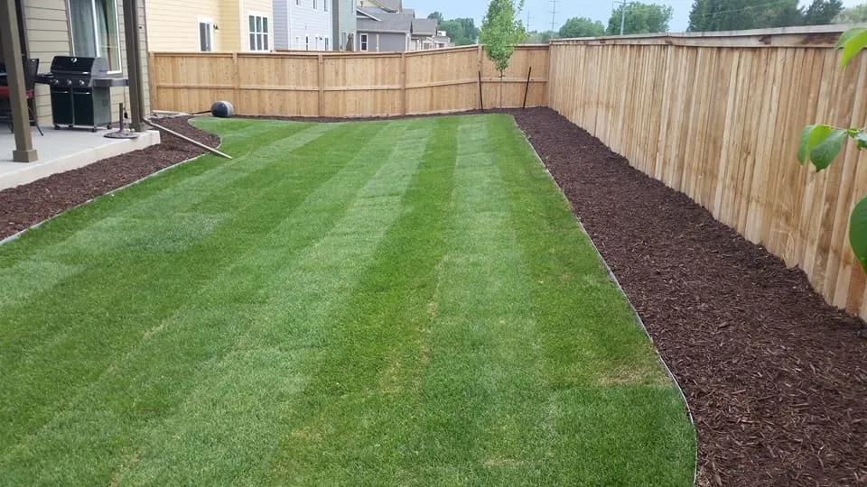 Professional lawn care service in Fort Collins, CO - Skyline Landscape & Design