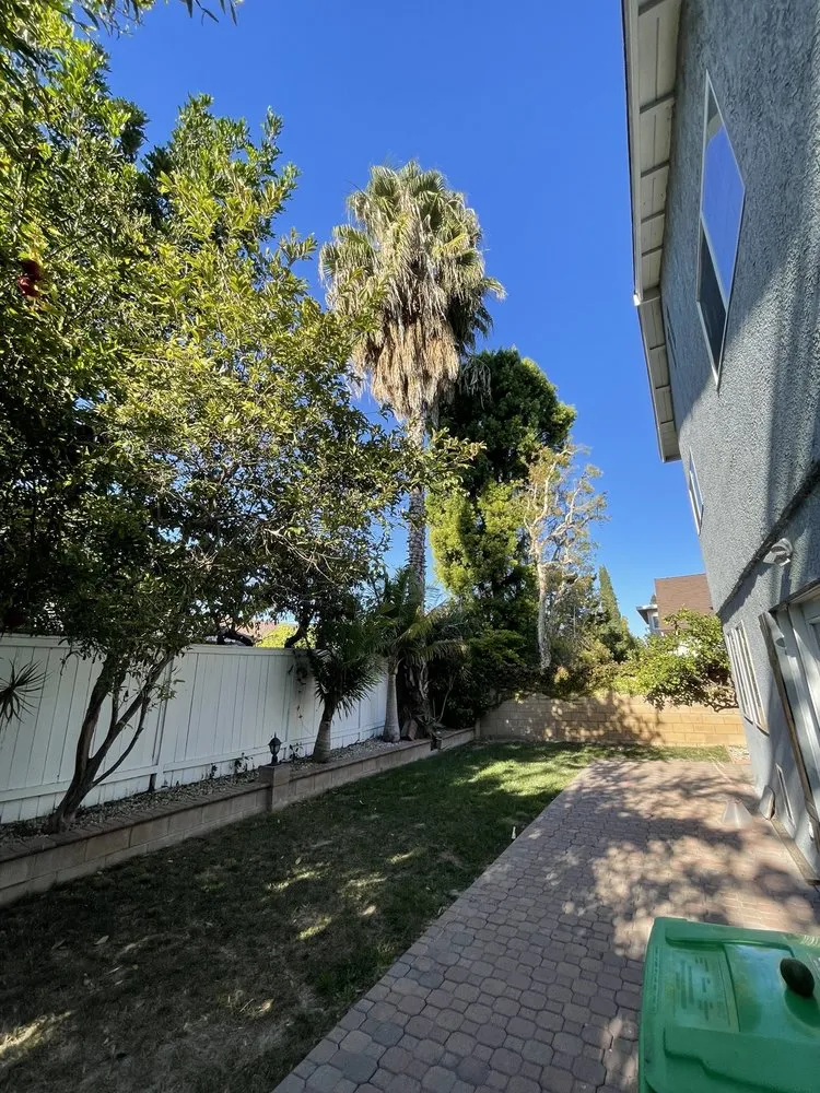 Reliable lawn care service experts serving Costa Mesa, CA - Skyline Landscape Services