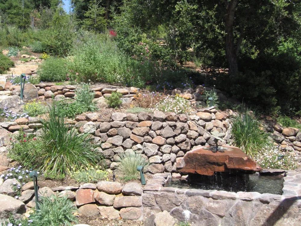 Affordable outdoor landscaping experts serving Redwood City, CA - Skyline Landscapes
