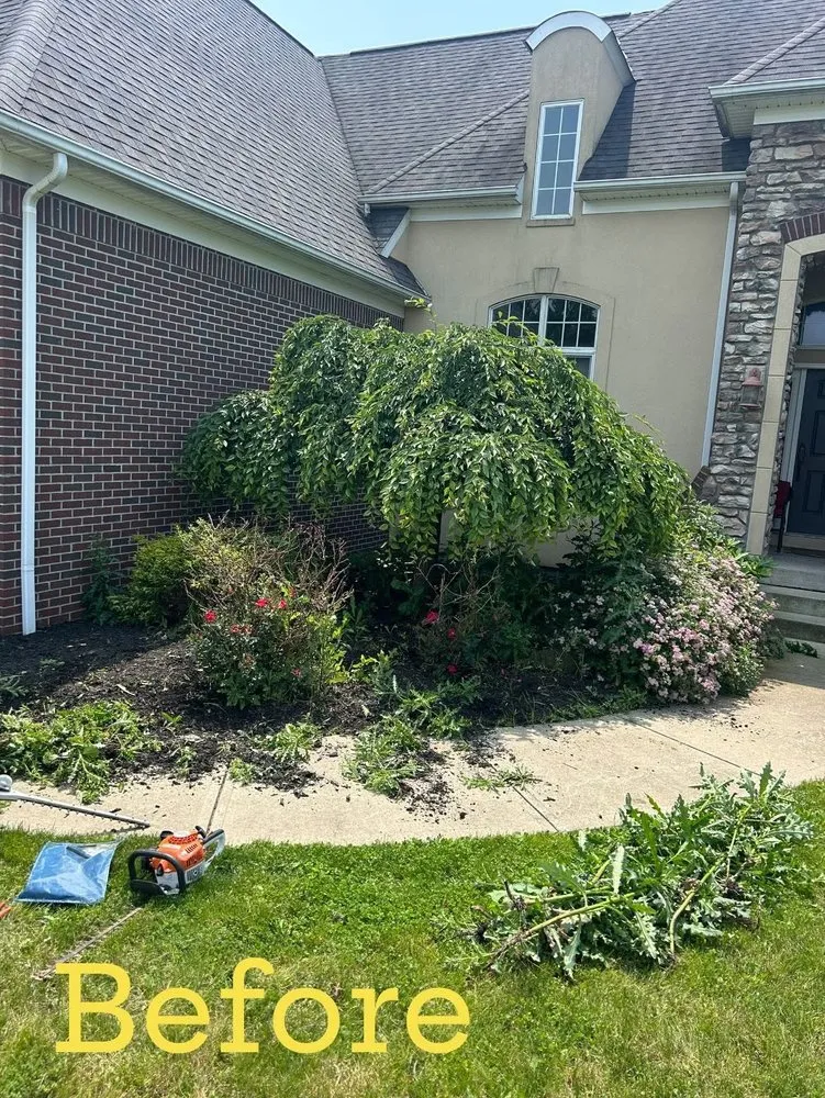 Expert lawn care service in Canton, OH - Skyline Landscaping