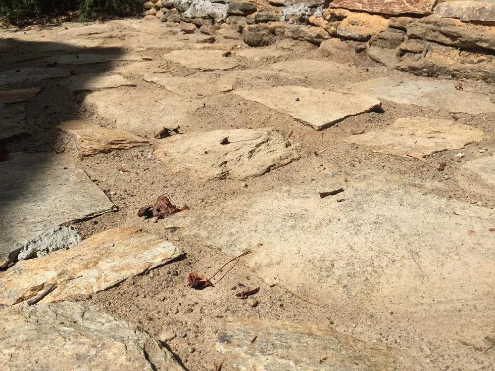 Professional yard cleanup service in Hendersonville, NC by Skyline Landscaping