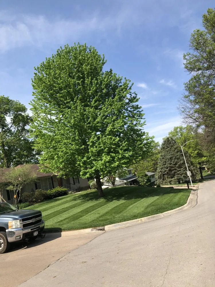 Professional landscape design for beautiful yards across La Vista, NE - Skyline landscaping