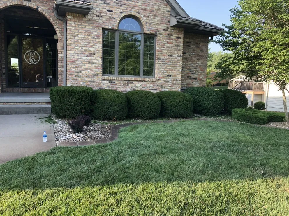 Affordable yard maintenance in La Vista, NE by Skyline landscaping