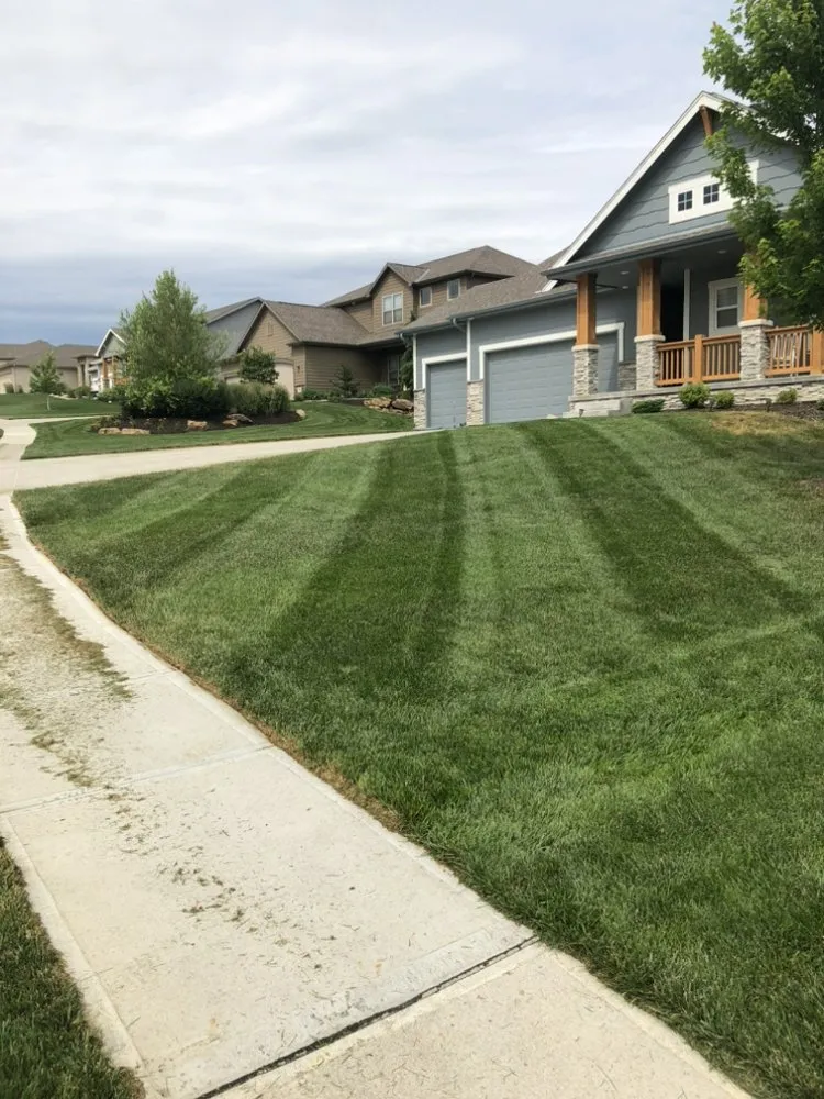 Expert lawn care service for year-round maintenance in La Vista, NE by Skyline landscaping