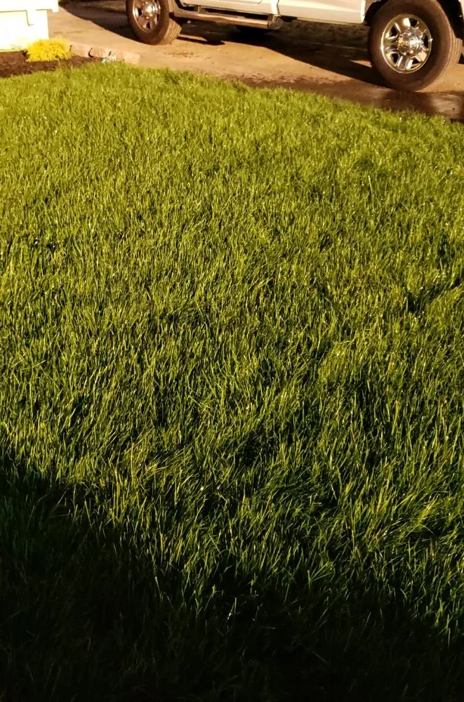 Custom residential landscaping in New Haven, CT - Skyline Landscaping