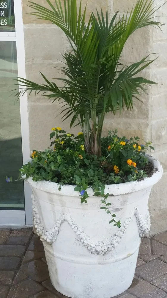 Top-rated landscape installation in Denver, CO by Skyline Lawn & Landscape