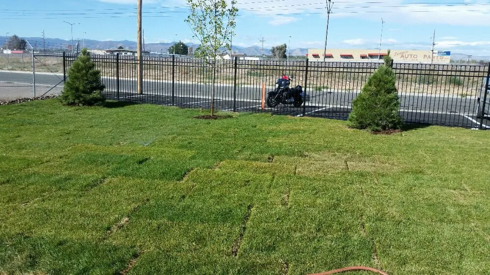 Custom lawn mowing service with custom design in Denver, CO by Skyline Lawn & Landscape