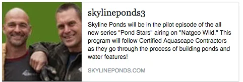 Custom landscape installation for year-round maintenance across Lake Arrowhead, CA - Skyline Ponds