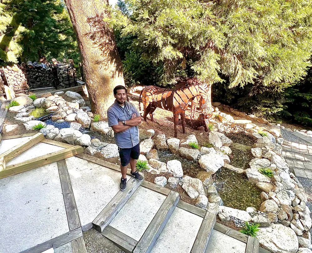 Professional lawn care service in Lake Arrowhead, CA by Skyline Ponds