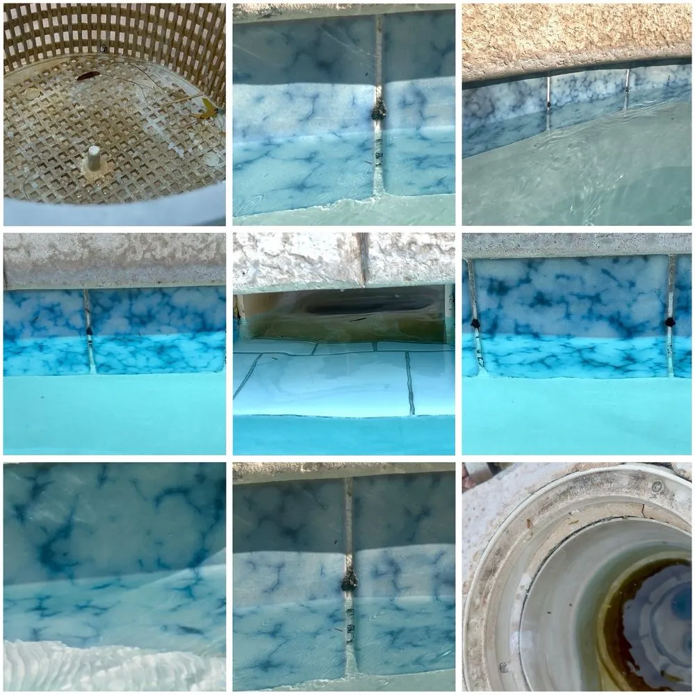 Expert landscape design experts serving Surprise, AZ - Skyline Pools and Landscaping