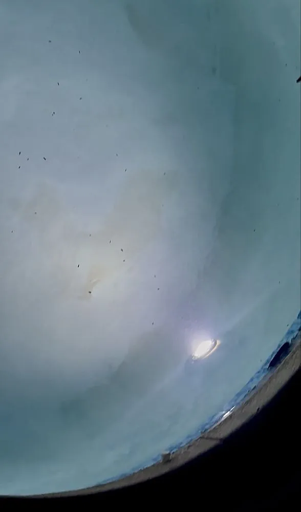 Top-rated landscape design in Surprise, AZ - Skyline Pools and Landscaping