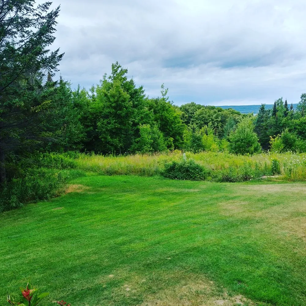 Local residential landscaping experts serving Petoskey, MI - Skyline Property Maintenance