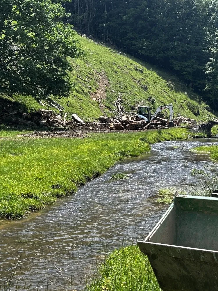 Top-rated lawn care service in Bluefield, VA - Skyline Tree Solutions