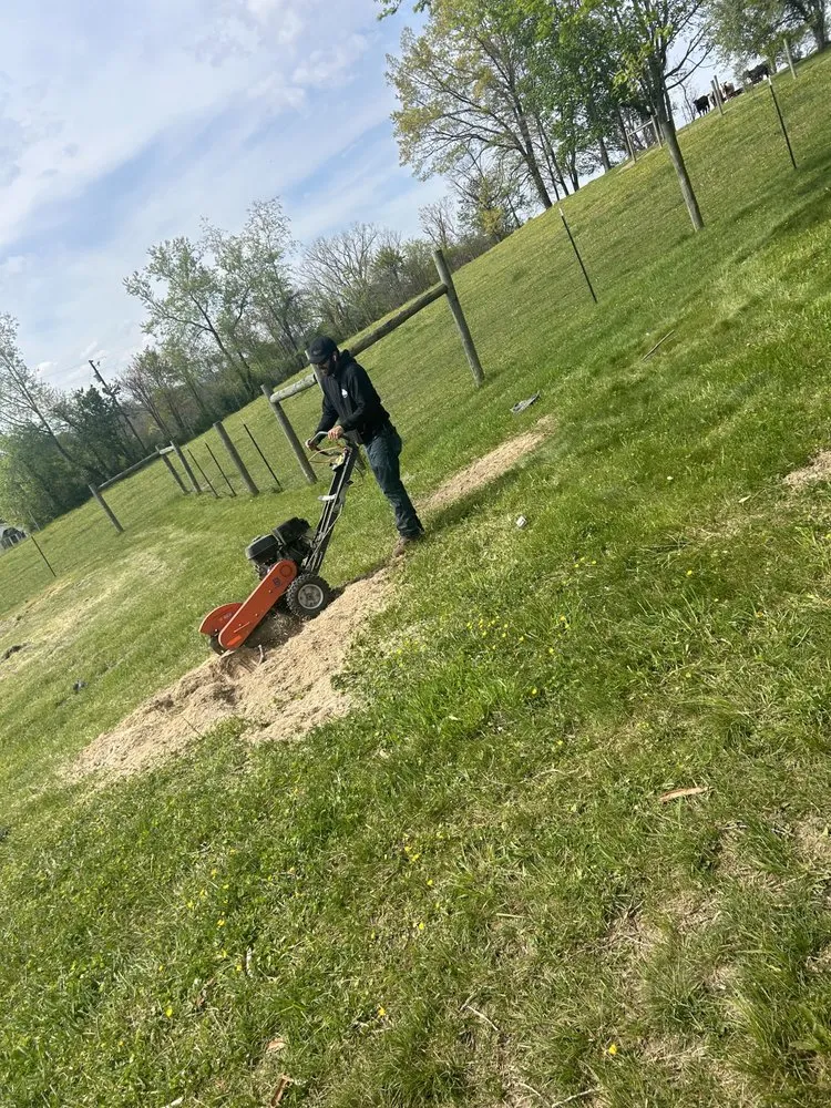 Top-rated yard maintenance experts serving Bluefield, VA - Skyline Tree Solutions