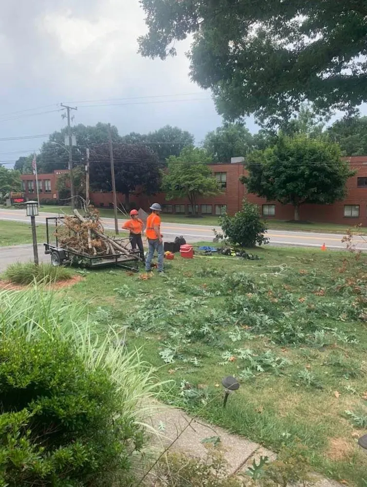 Reliable yard cleanup service in Bluefield, VA - Skyline Tree Solutions