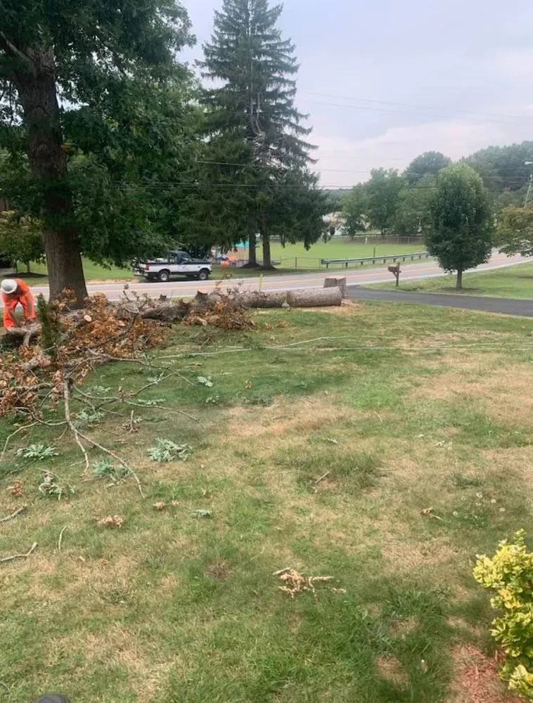 Trusted landscaping services in Bluefield, VA - Skyline Tree Solutions