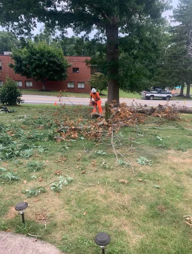 Expert landscaping services in Bluefield, VA - Skyline Tree Solutions