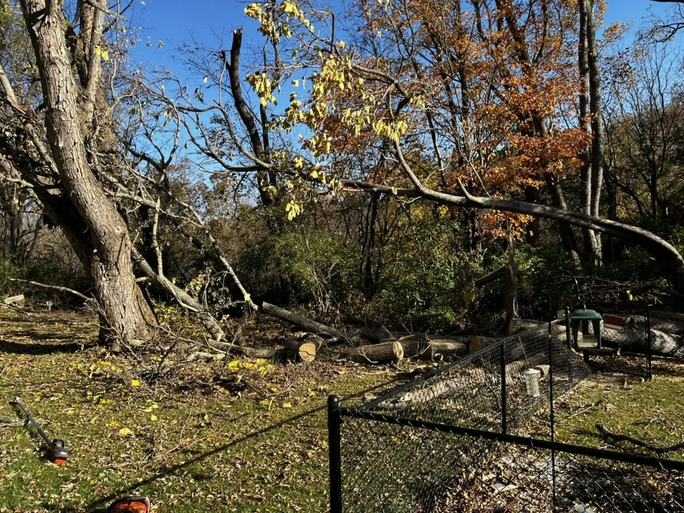 Expert landscape design with custom design in Bluefield, VA by Skyline Tree Solutions