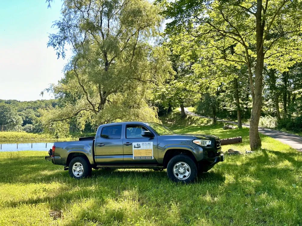 Top-rated landscape installation for outdoor upgrades across Bluefield, VA - Skyline Tree Solutions