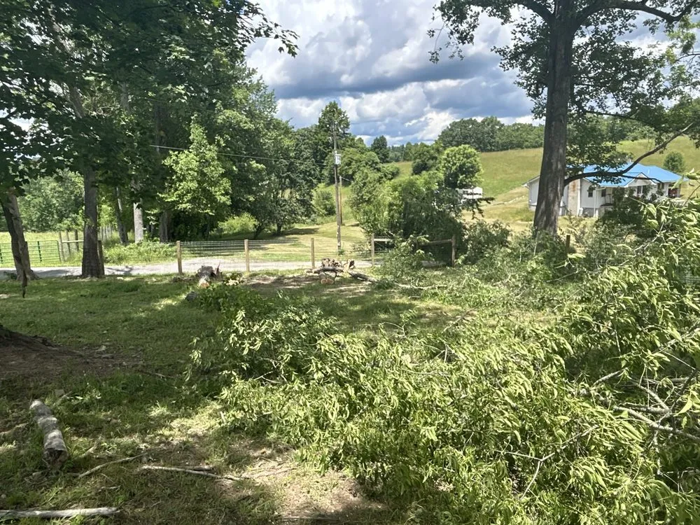 Affordable outdoor landscaping for year-round maintenance across Bluefield, VA - Skyline Tree Solutions