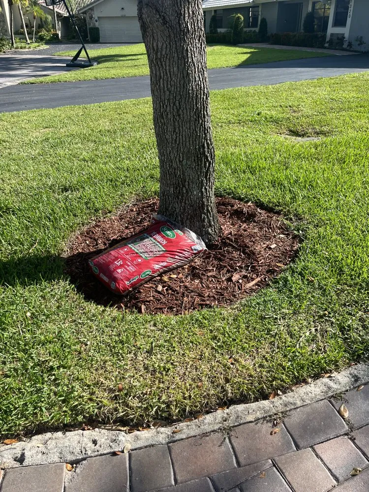 Trusted outdoor landscaping with custom design across Margate, FL - Skynet