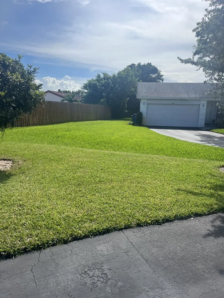 Reliable yard maintenance experts serving Margate, FL - Skynet