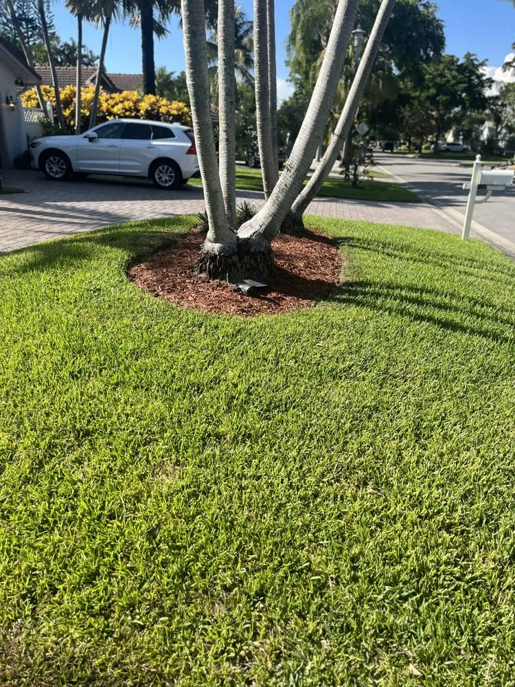 Local garden landscaping for homes in Margate, FL by Skynet