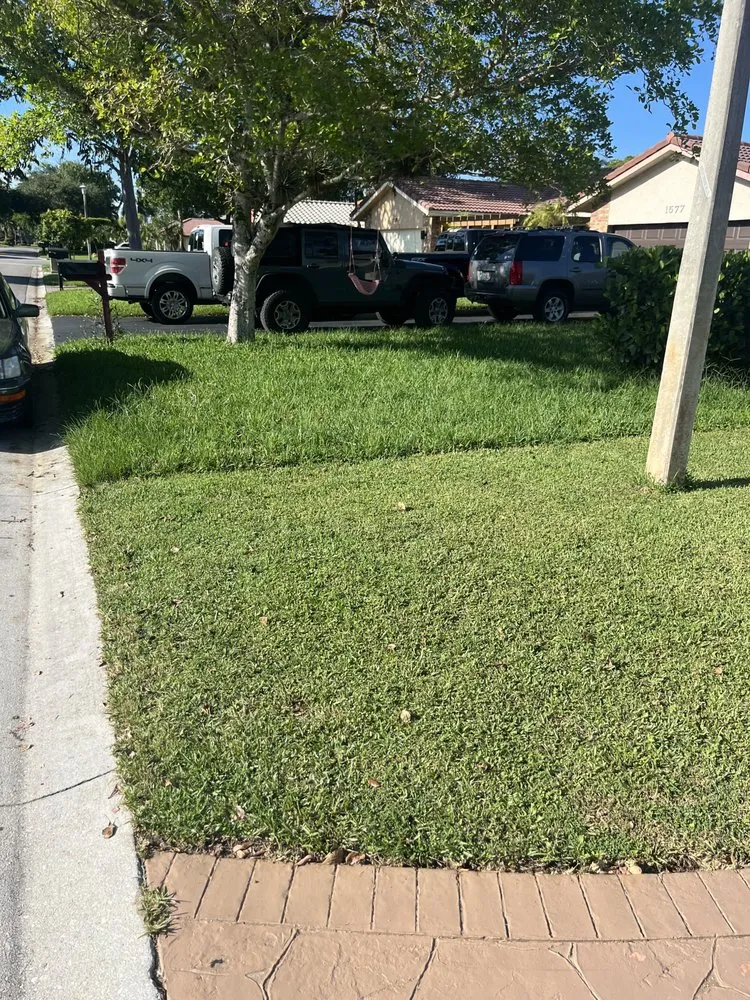 Expert landscape design in Margate, FL - Skynet