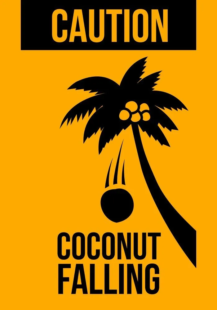 Affordable lawn mowing service in Margate, FL by Skynet