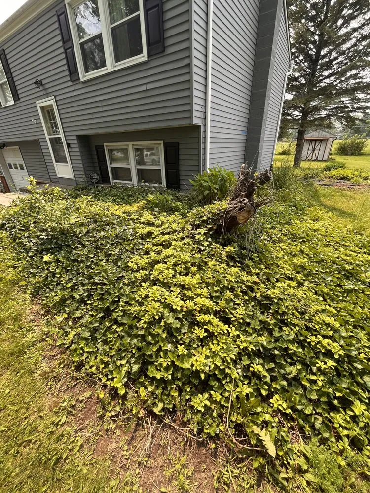 Professional yard cleanup service in Webster, NY by Skyroc Property Improvements