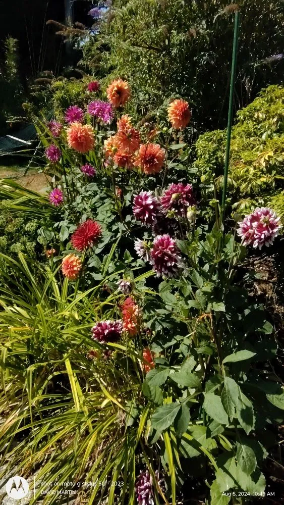 Local lawn care service experts serving Portland, OR - Skys Limits Gardening and Aerial Trailing