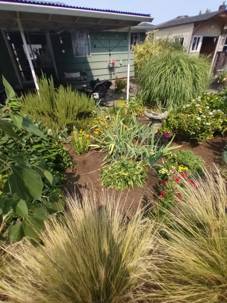 Top-rated landscape installation in Portland, OR - Skys Limits Gardening and Aerial Trailing