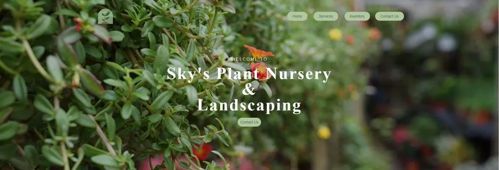 Reliable yard maintenance for year-round maintenance across Miami, FL - Sky's Plant Nursery & Landscaping