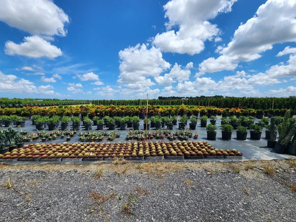 Professional yard maintenance for homes across Miami, FL - Sky's Plant Nursery & Landscaping