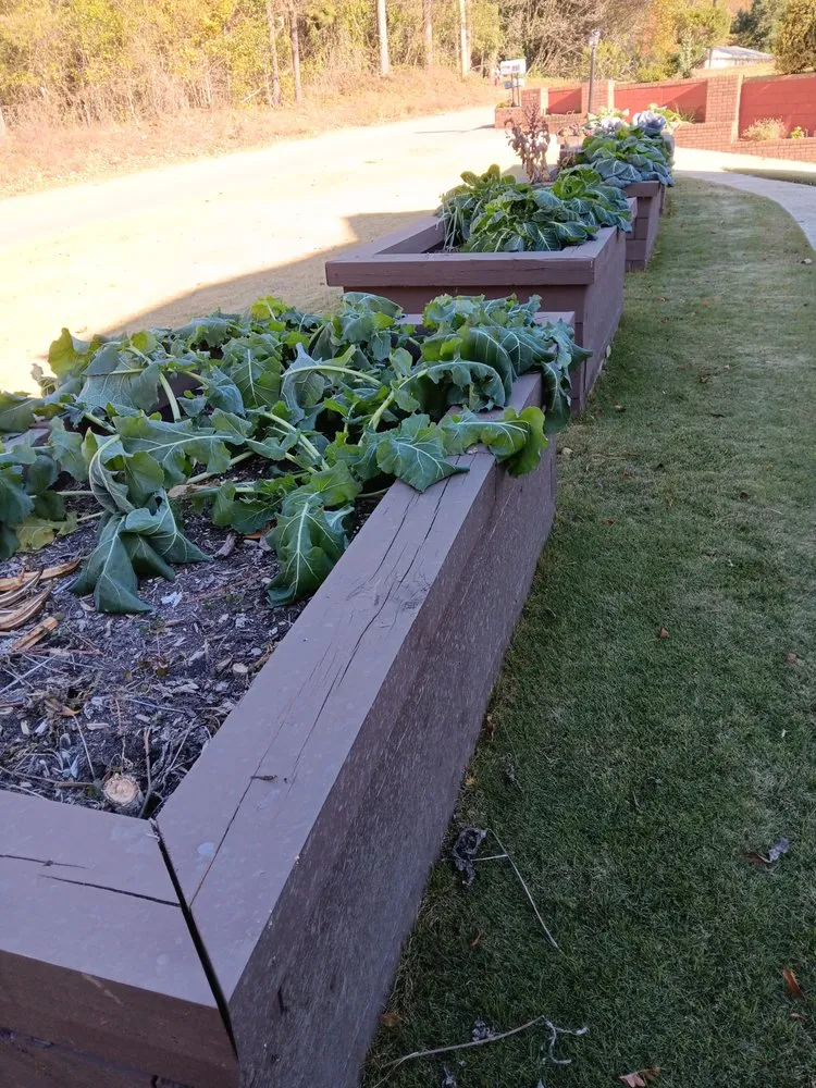 Professional lawn care service in Gaston, SC by Skys The Limit Construction