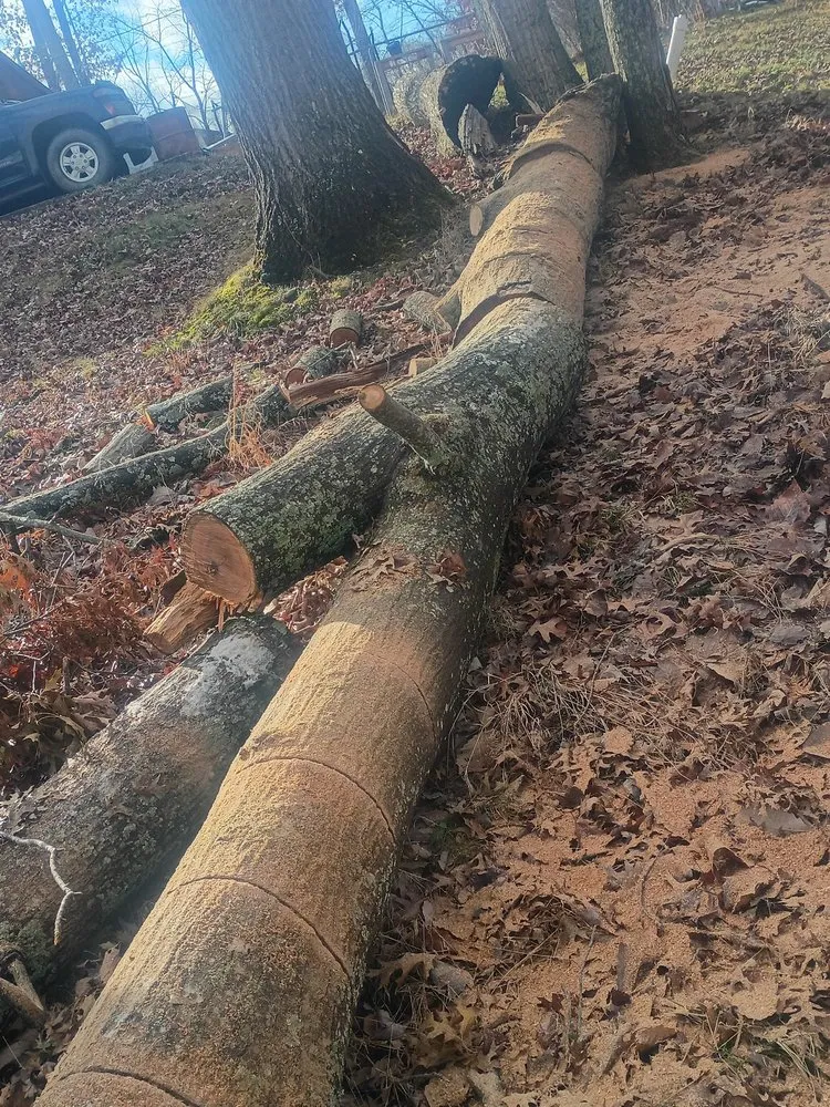 Expert garden landscaping for year-round maintenance in Morehead, KY by Skys The Limit Tree management