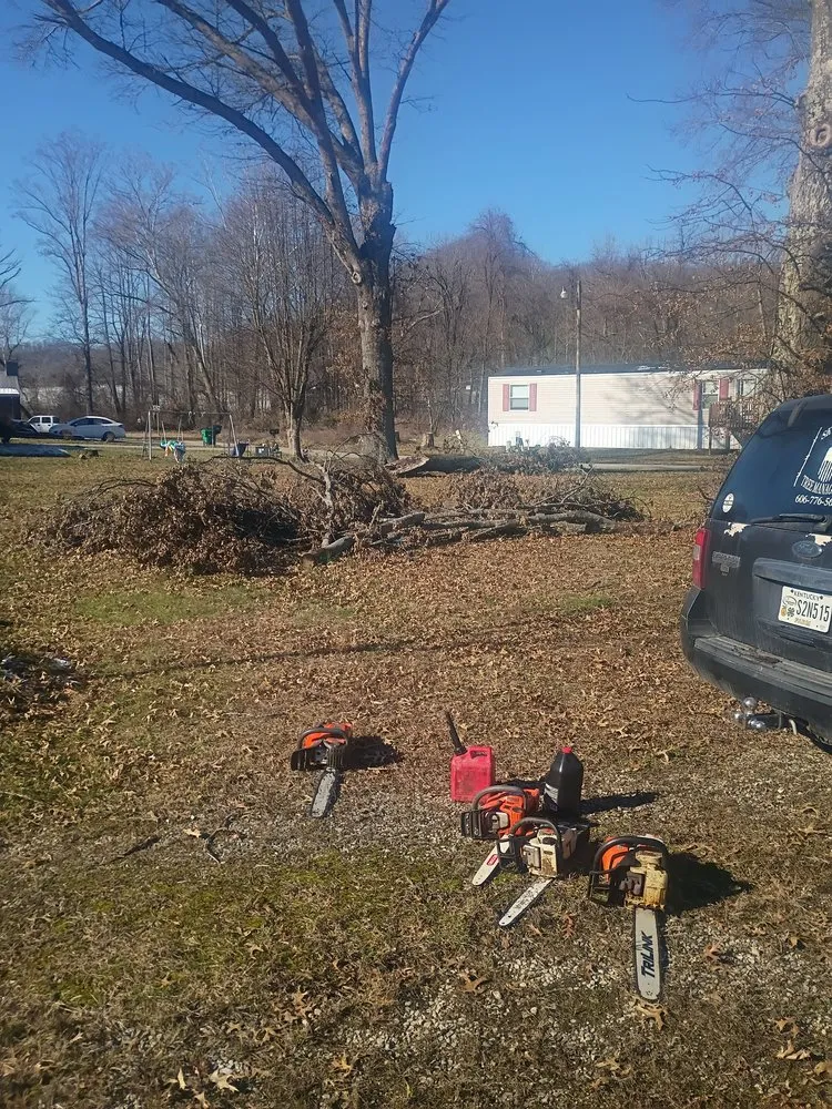 Trusted landscaping services in Morehead, KY - Skys The Limit Tree management