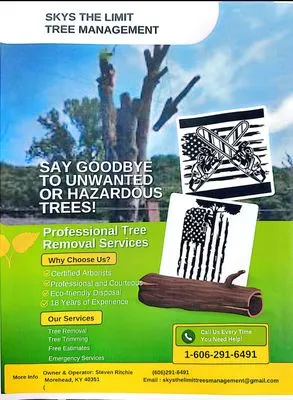 Skys The Limit Tree management Logo