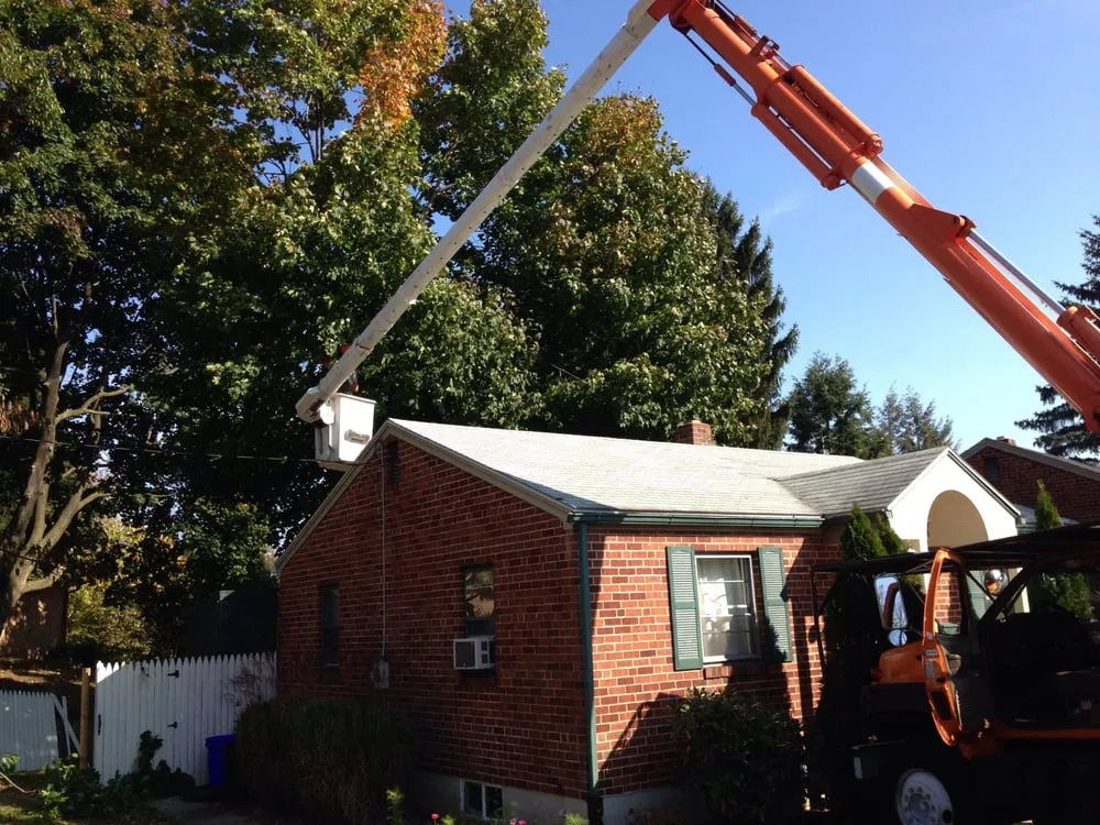 Trusted garden landscaping for homes in New Cumberland, PA by Sky's The Limit Tree Services