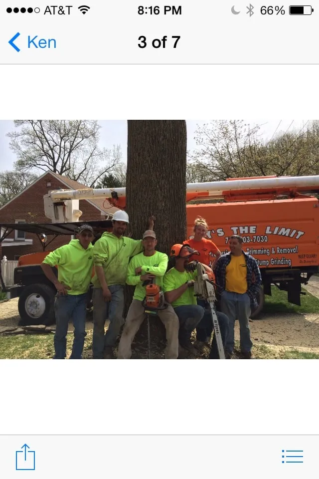 Trusted residential landscaping near you across New Cumberland, PA - Sky's The Limit Tree Services