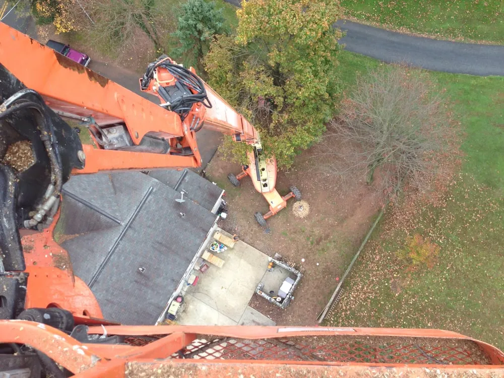 Local landscaping services in New Cumberland, PA by Sky's The Limit Tree Services