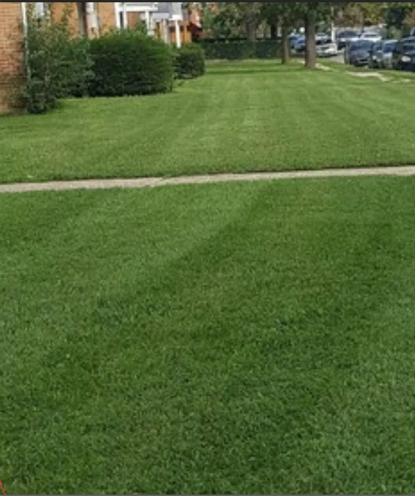 Top-rated landscape installation experts serving Breckenridge Hills, MO - Skyscraper Lawncare