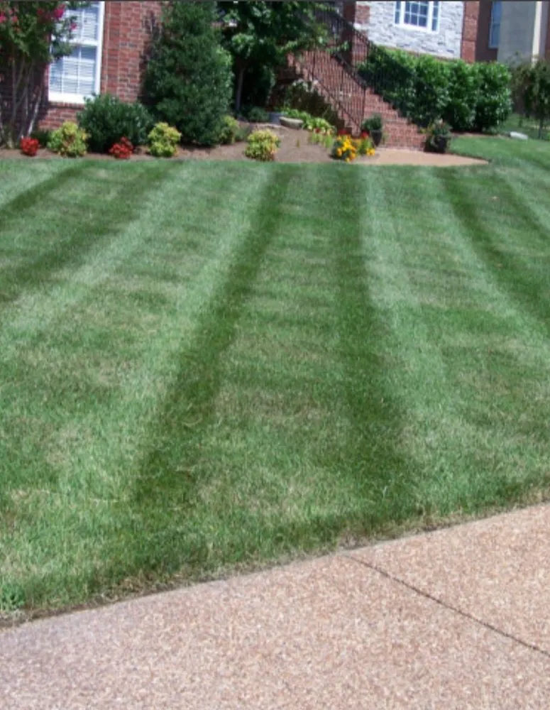 Expert lawn mowing service for year-round maintenance in Breckenridge Hills, MO by Skyscraper Lawncare
