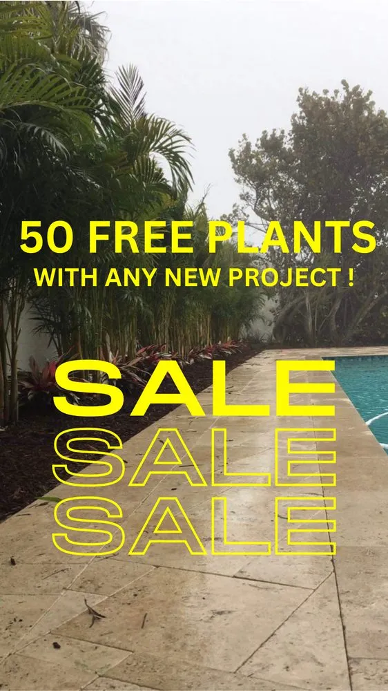 Top-rated landscape design in Spring Hill, FL by Skyshark Pavers and Landscaping