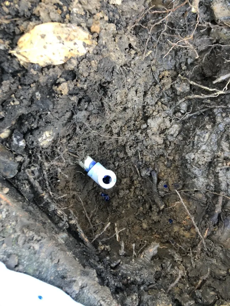 Professional landscape design for beautiful yards across Katy, TX - Skystone Landscape