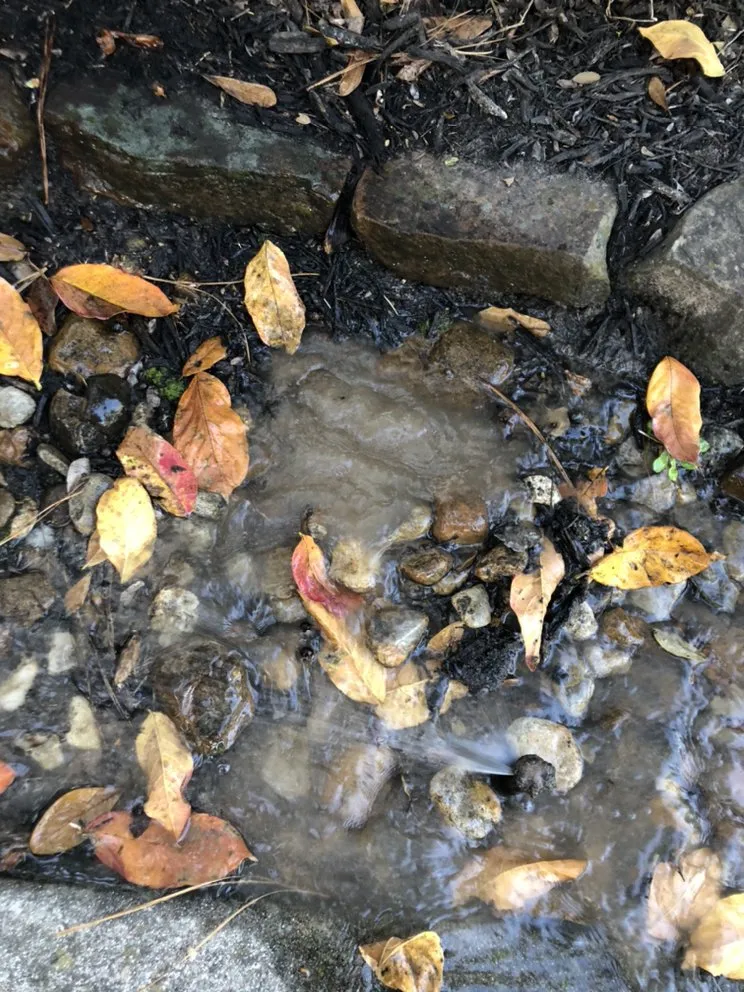 Top-rated outdoor landscaping in Katy, TX - Skystone Landscape