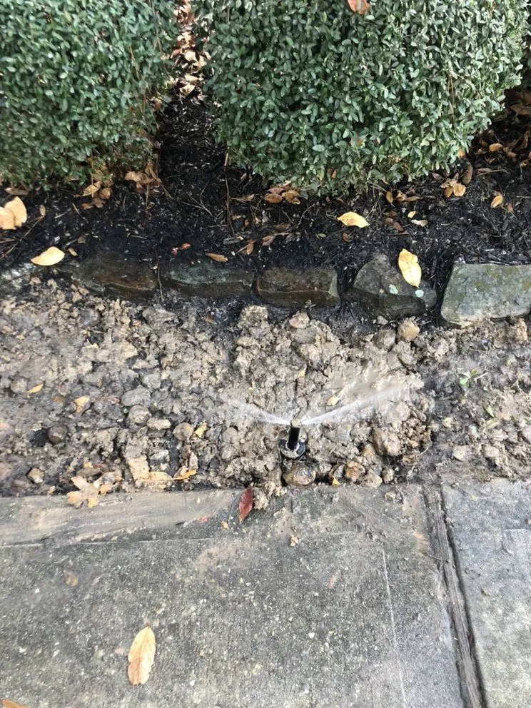 Affordable lawn mowing service in Katy, TX - Skystone Landscape