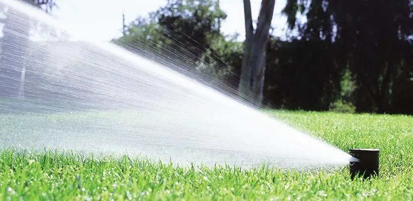 Custom lawn care service for outdoor upgrades across Katy, TX - Skystone Landscape