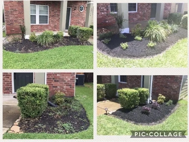 Trusted yard maintenance in Katy, TX by Skystone Landscape